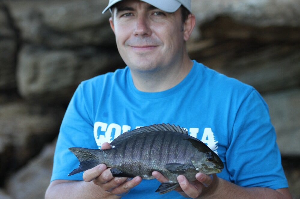 When it all comes together.