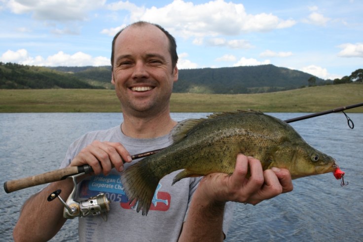 Other freshwater species like golden perch are also available.
