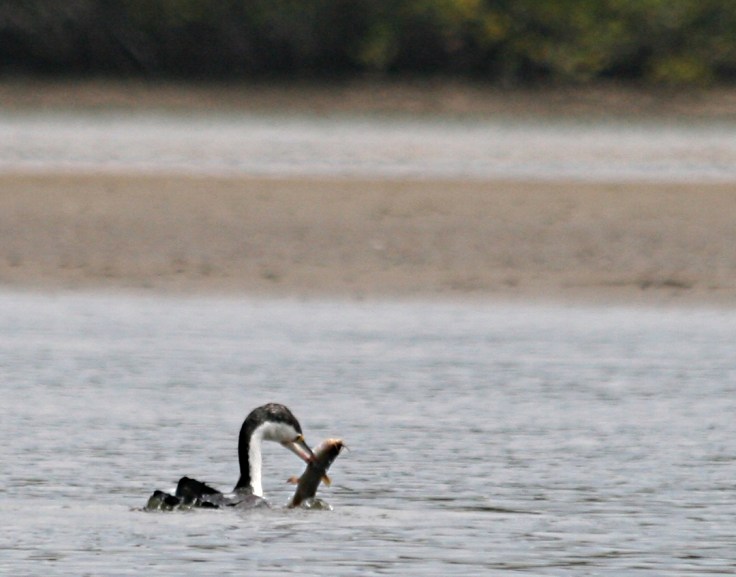 There were far better anglers out there than me.