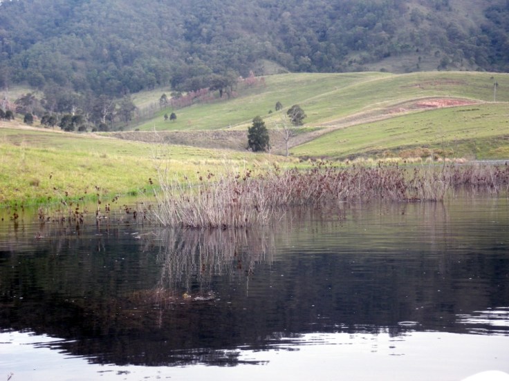 Likely looking territory.