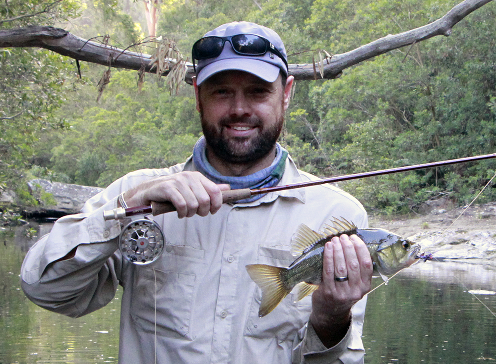 Australian bass caught on fly