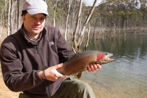 Blue Mountains rainbow trout