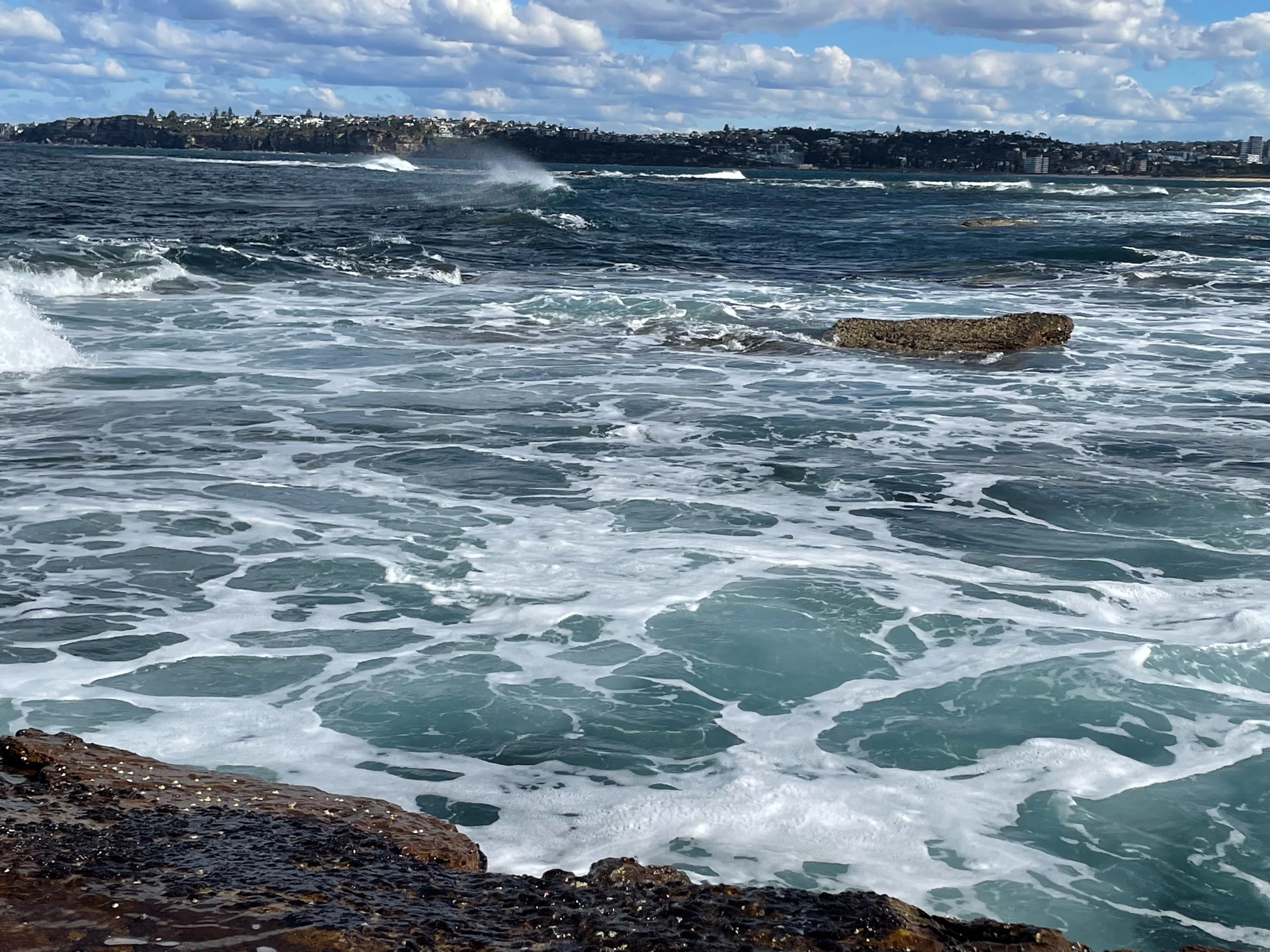 White water where rock blackfish live