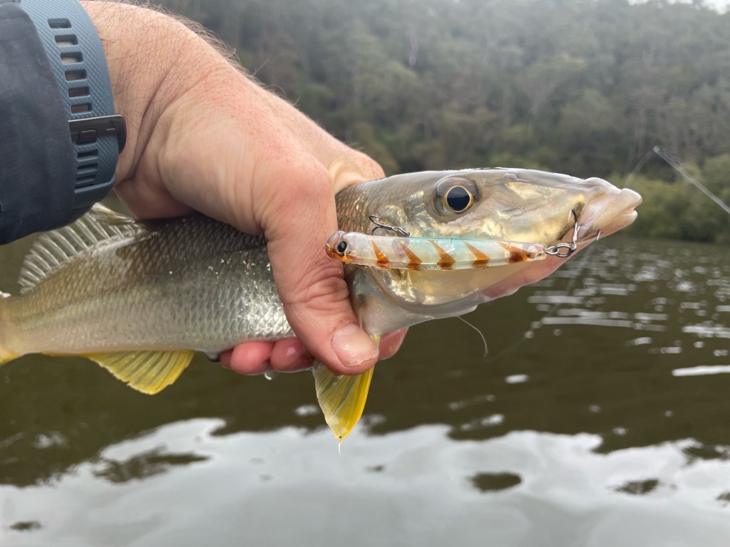 Lure fishing for whiting
